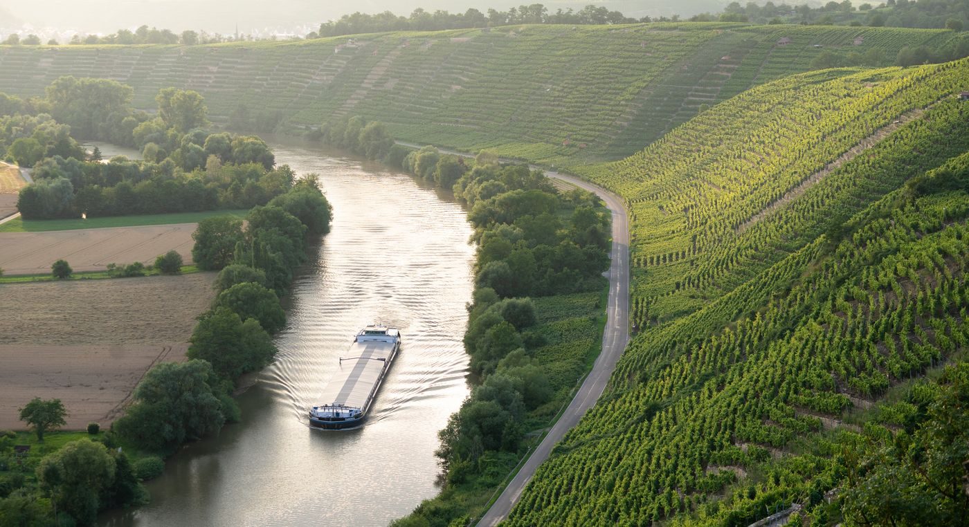 Neckar mit Weinbergen