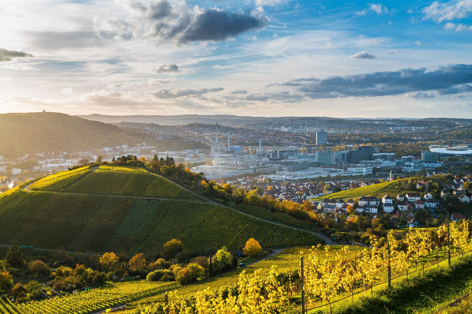 Stuttgart mit Weinbergen und Fernsehturm